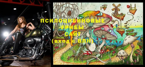 прущая мука Ельня