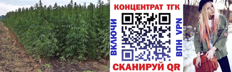 ТГК жижа  купить наркотик  Северодвинск 