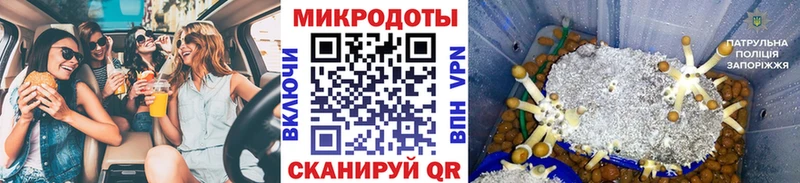 Псилоцибиновые грибы Psilocybe  Северодвинск 